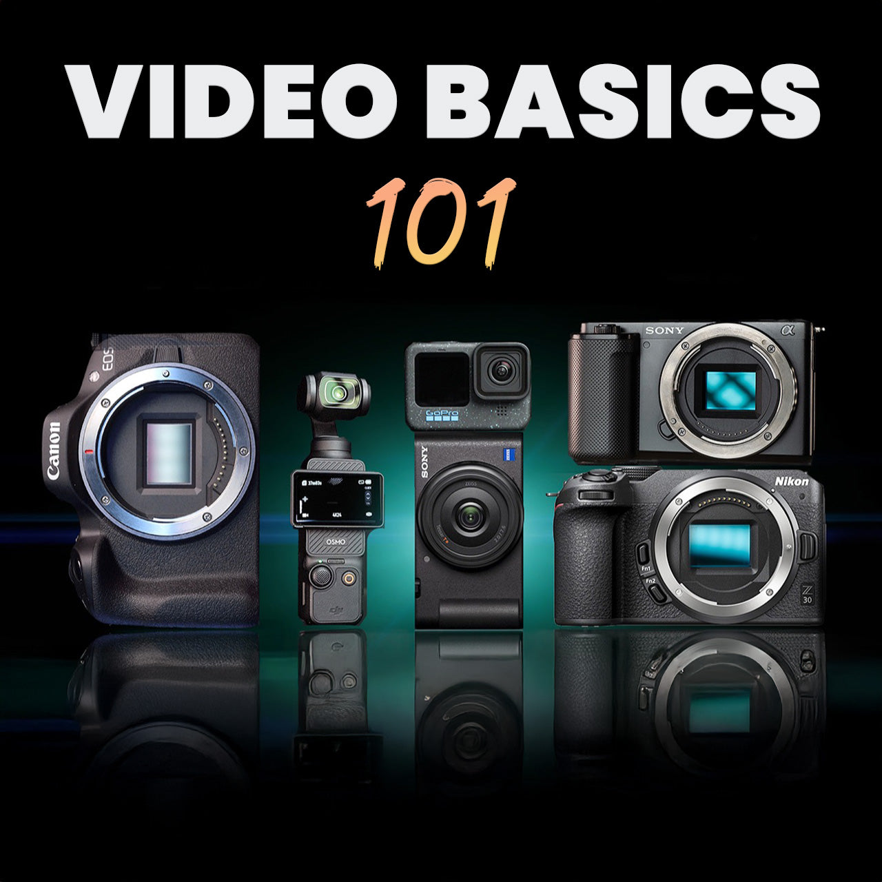 Video Basics 101